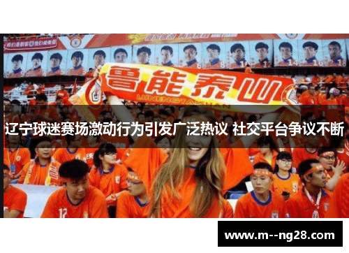 辽宁球迷赛场激动行为引发广泛热议 社交平台争议不断 辽宁球迷赛场激动行为引发广泛热议 社交平台争议不断