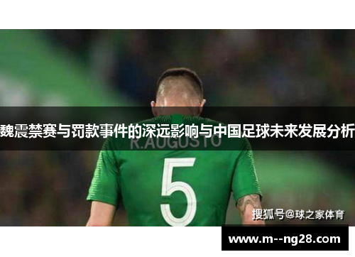 魏震禁赛与罚款事件的深远影响与中国足球未来发展分析