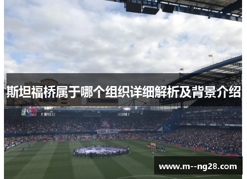 斯坦福桥属于哪个组织详细解析及背景介绍 斯坦福桥属于哪个组织详细解析及背景介绍