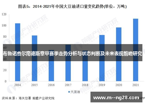 布鲁诺费尔南德斯意甲赛季走势分析与状态判断及未来表现前瞻研究