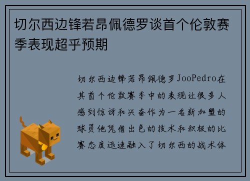 切尔西边锋若昂佩德罗谈首个伦敦赛季表现超乎预期